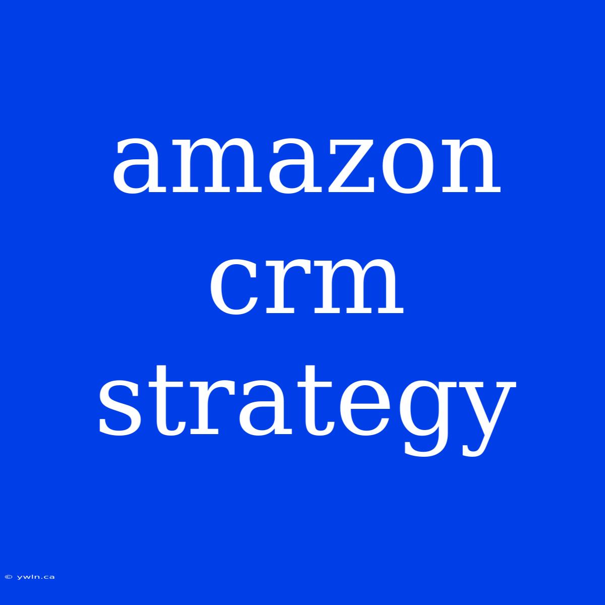 Amazon Crm Strategy