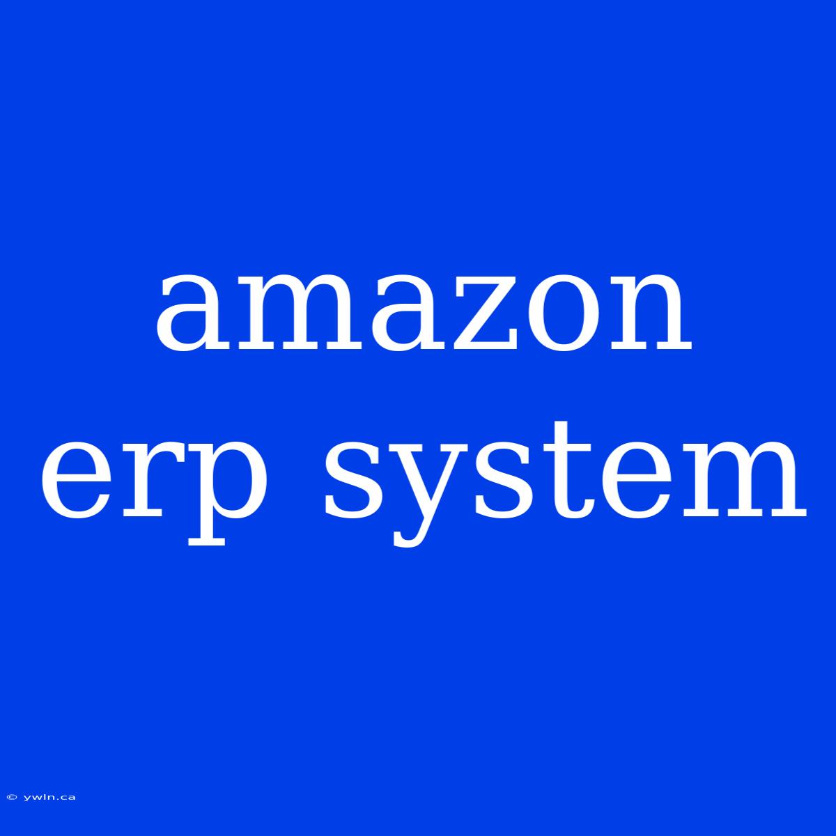 Amazon Erp System