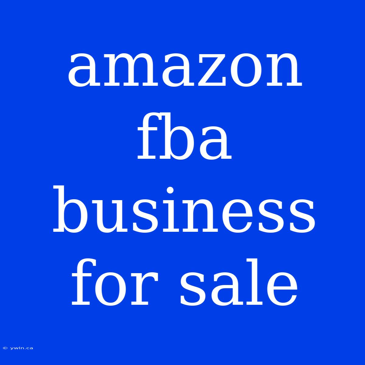 Amazon Fba Business For Sale