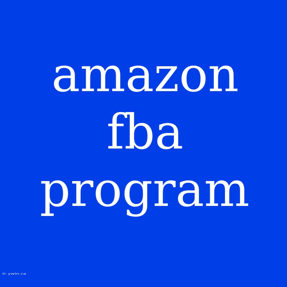 Amazon Fba Program