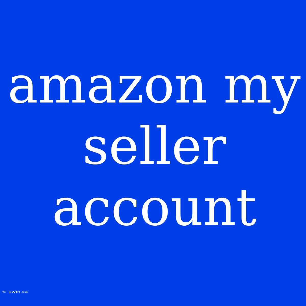 Amazon My Seller Account