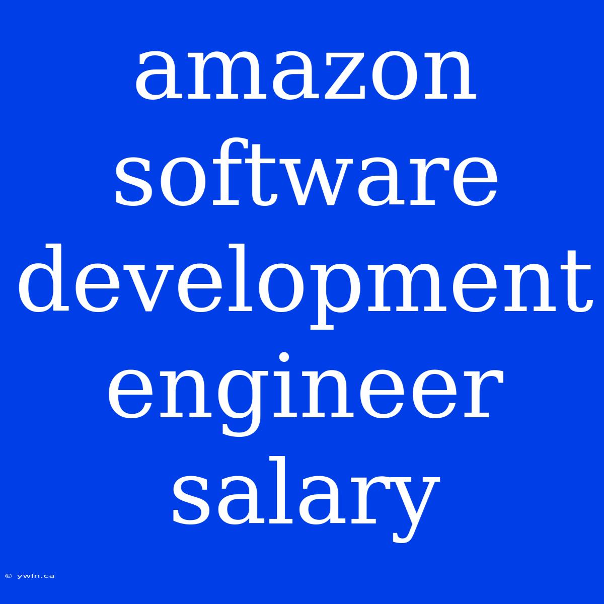 Amazon Software Development Engineer Salary