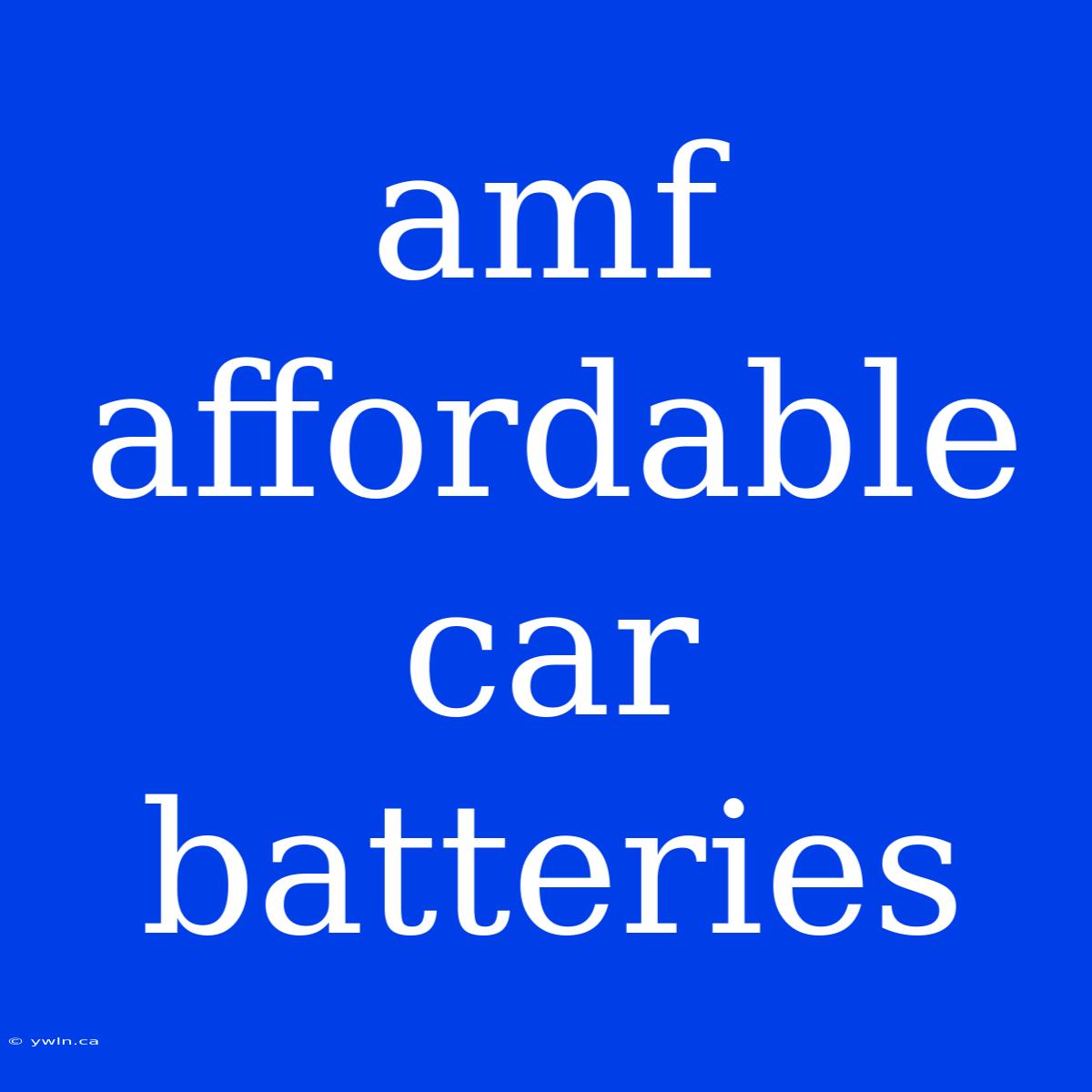 Amf Affordable Car Batteries