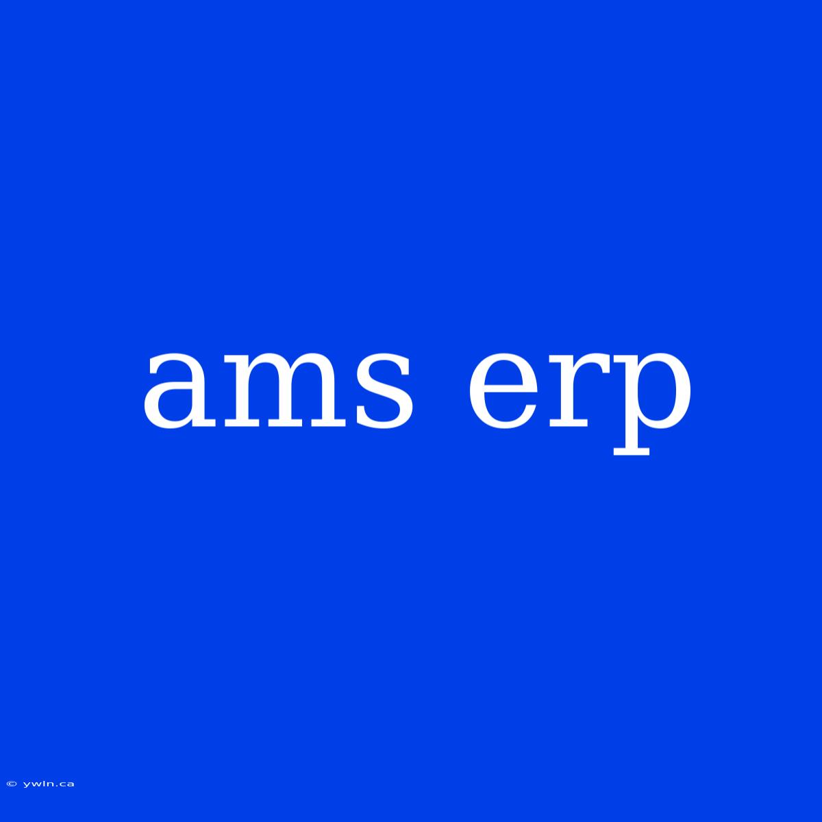 Ams Erp