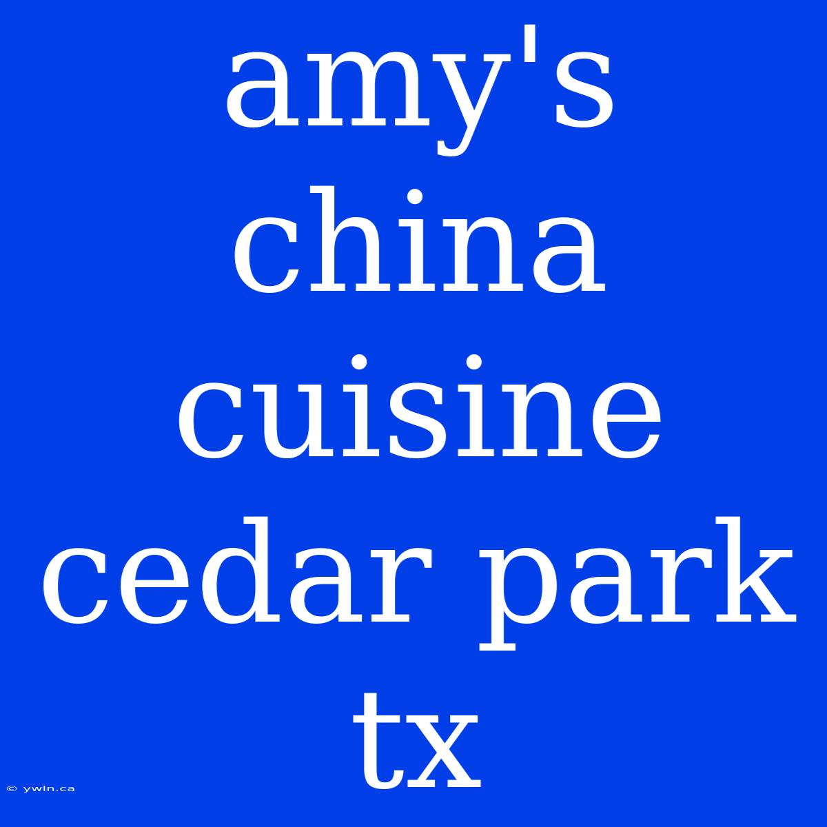 Amy's China Cuisine Cedar Park Tx