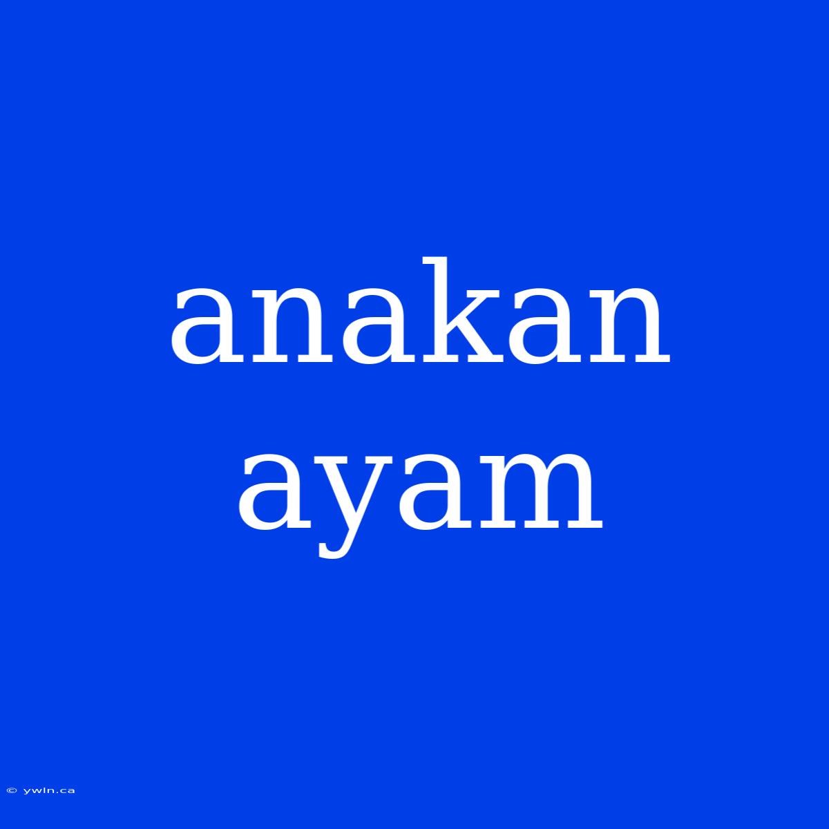 Anakan Ayam