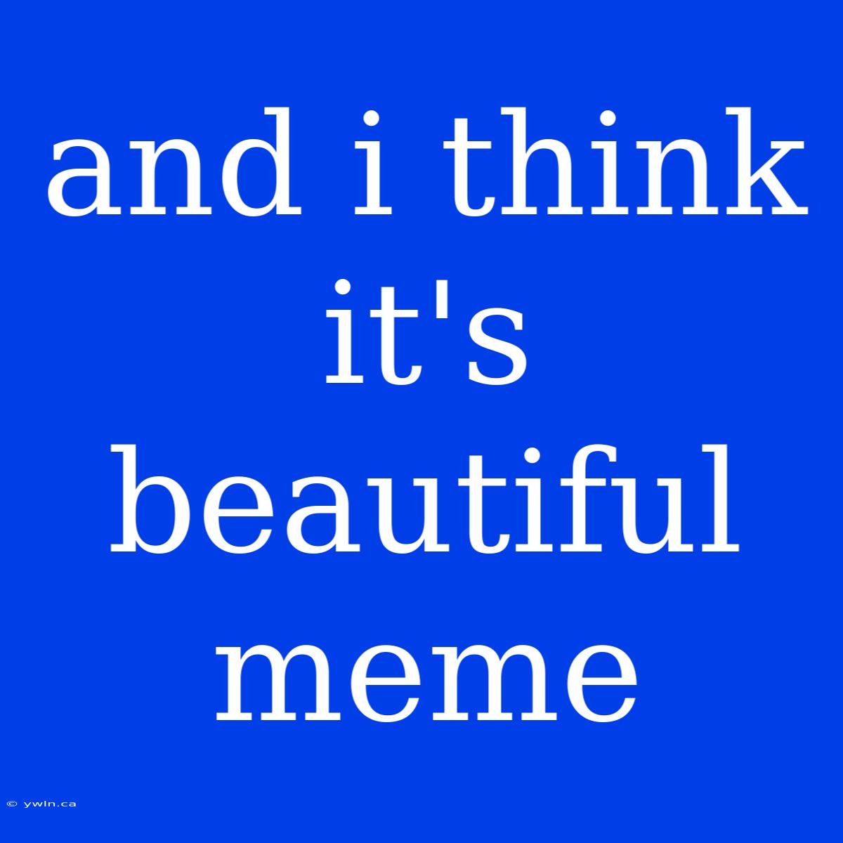 And I Think It's Beautiful Meme