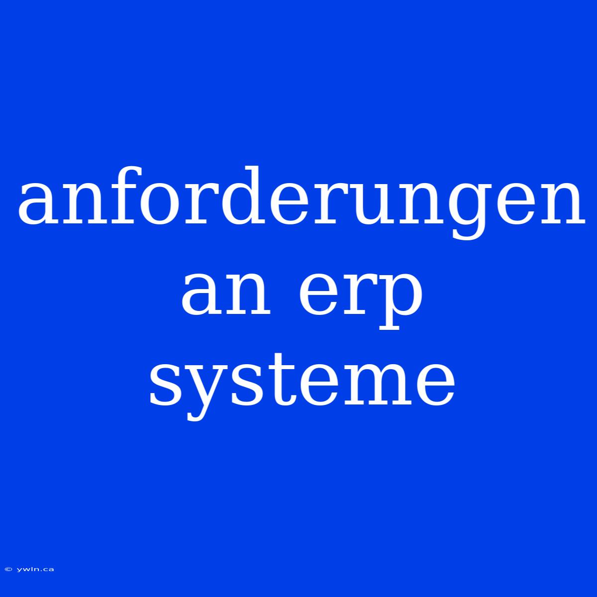 Anforderungen An Erp Systeme