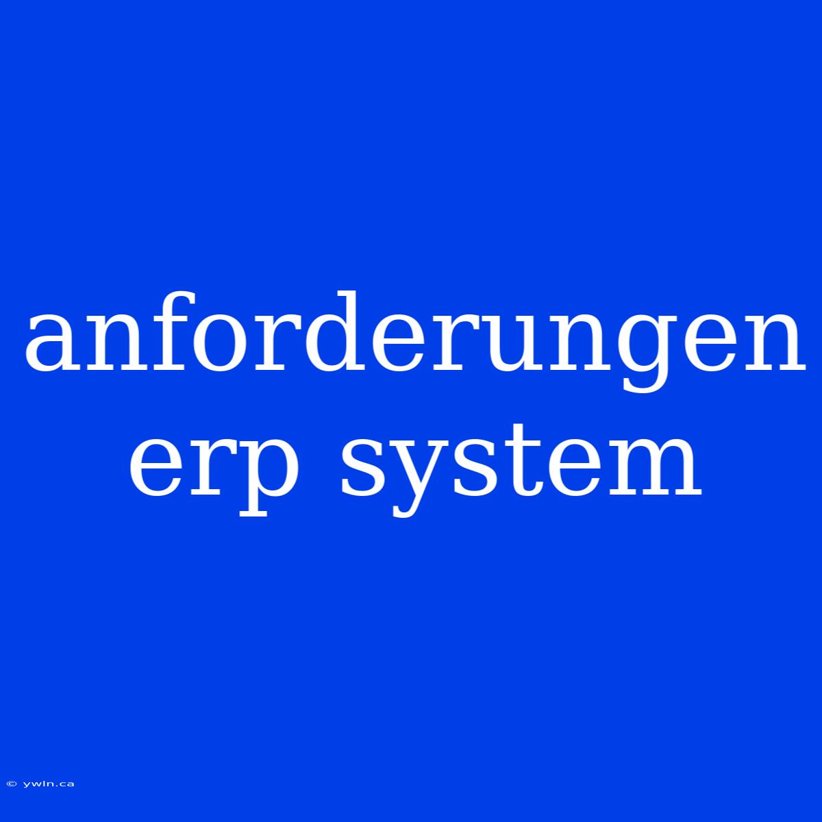 Anforderungen Erp System