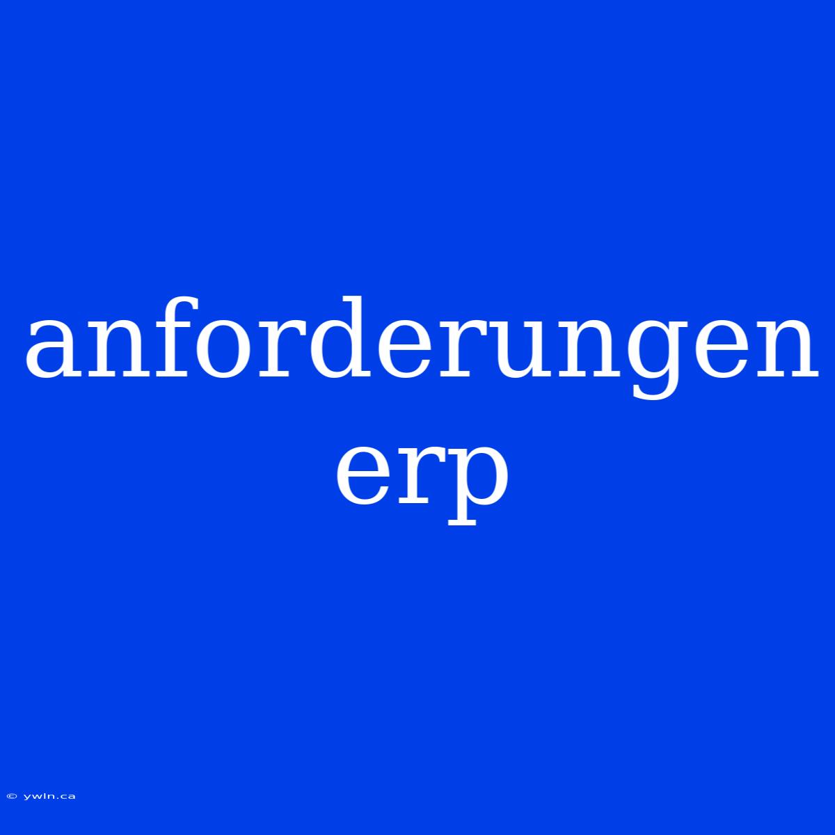 Anforderungen Erp