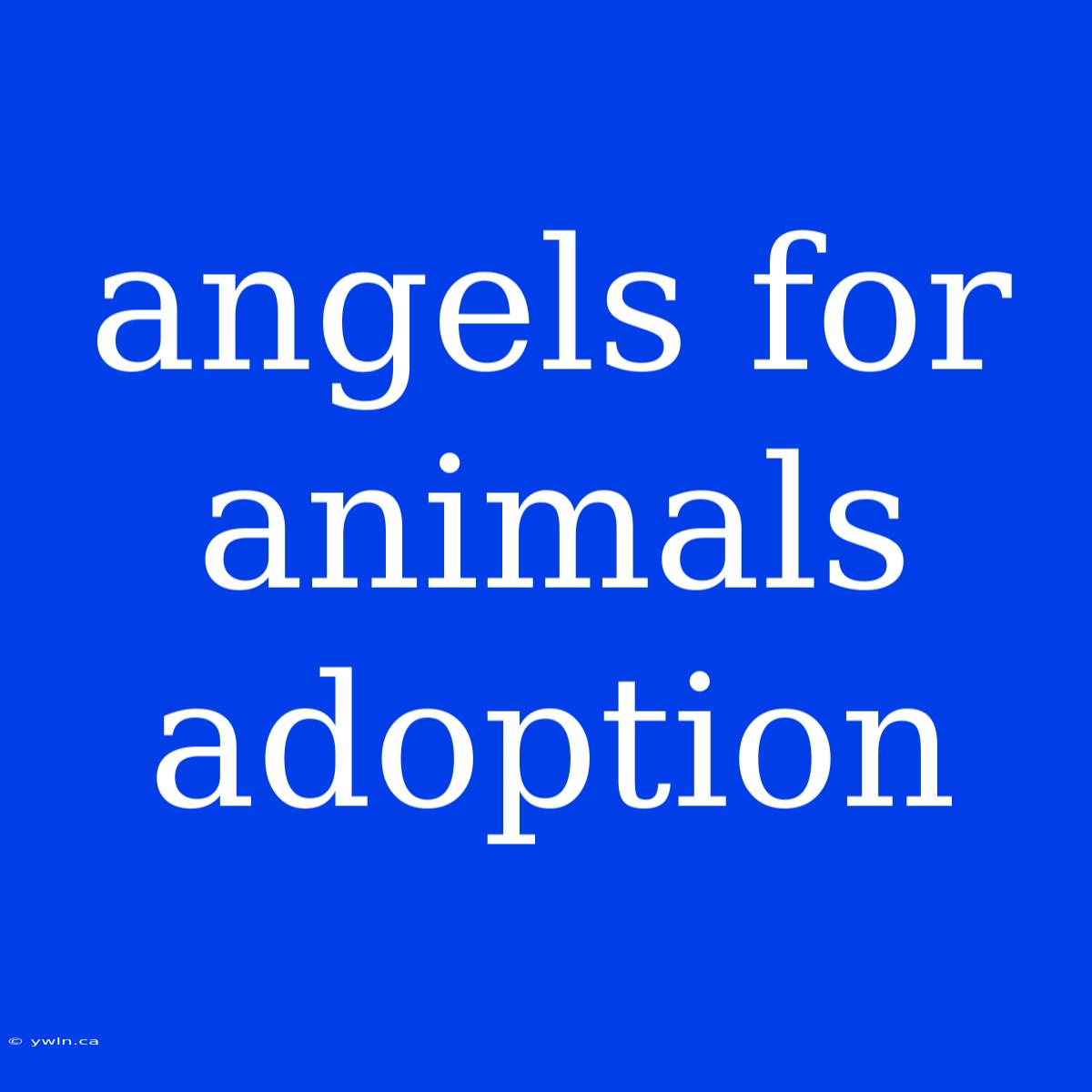 Angels For Animals Adoption