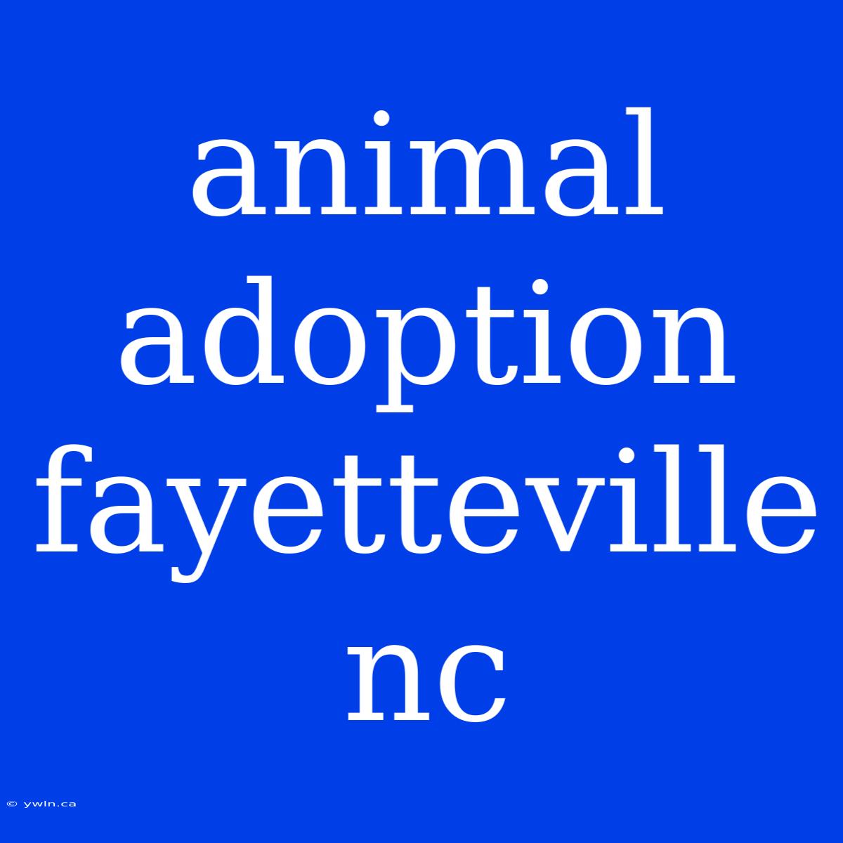 Animal Adoption Fayetteville Nc