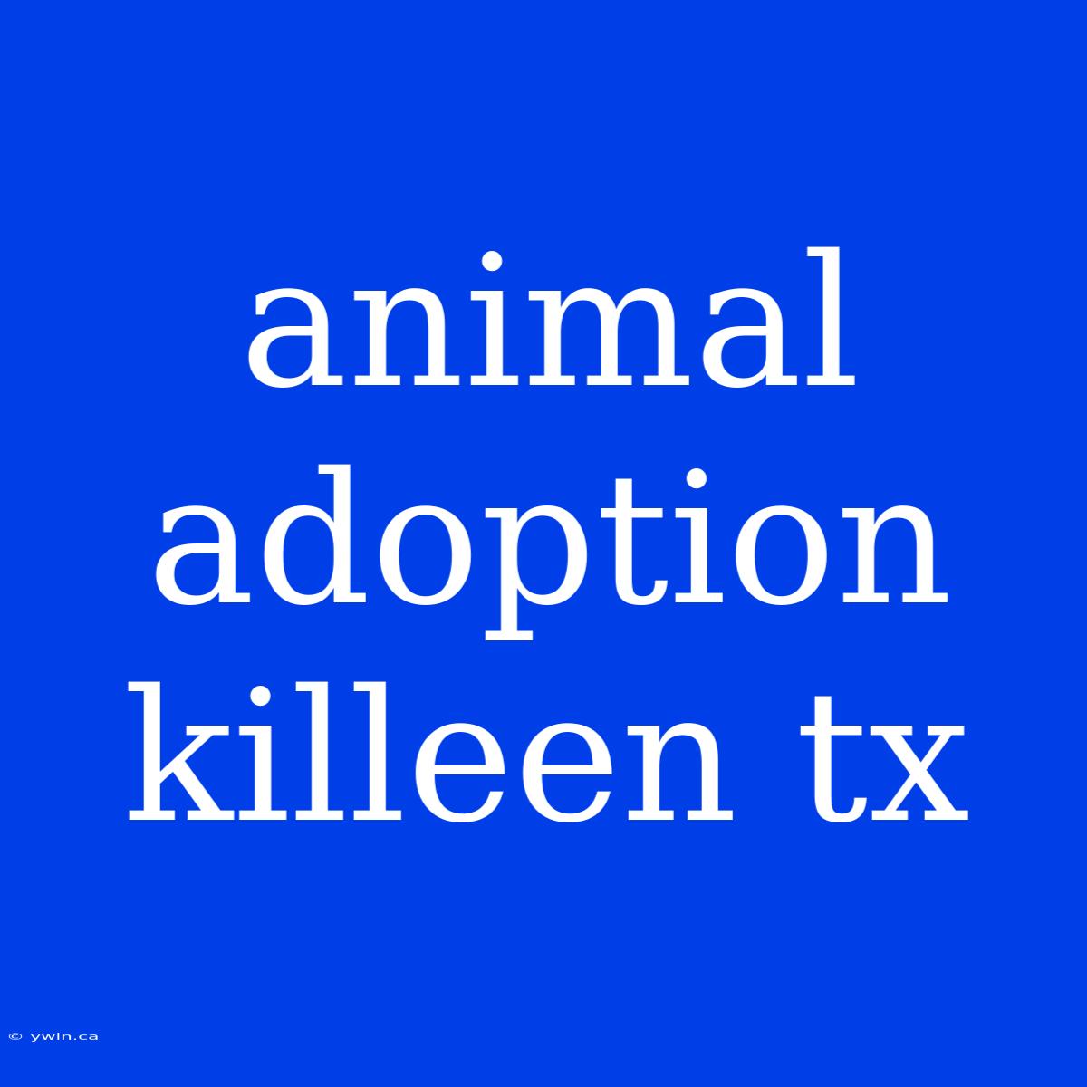 Animal Adoption Killeen Tx