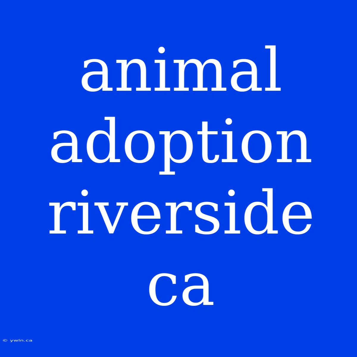 Animal Adoption Riverside Ca