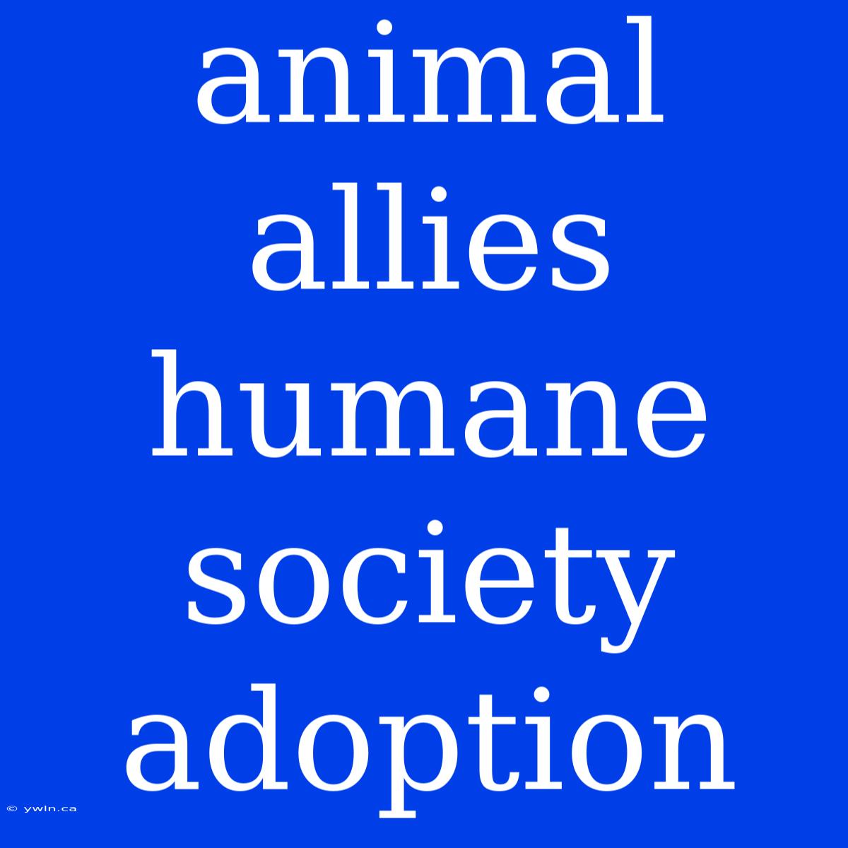 Animal Allies Humane Society Adoption