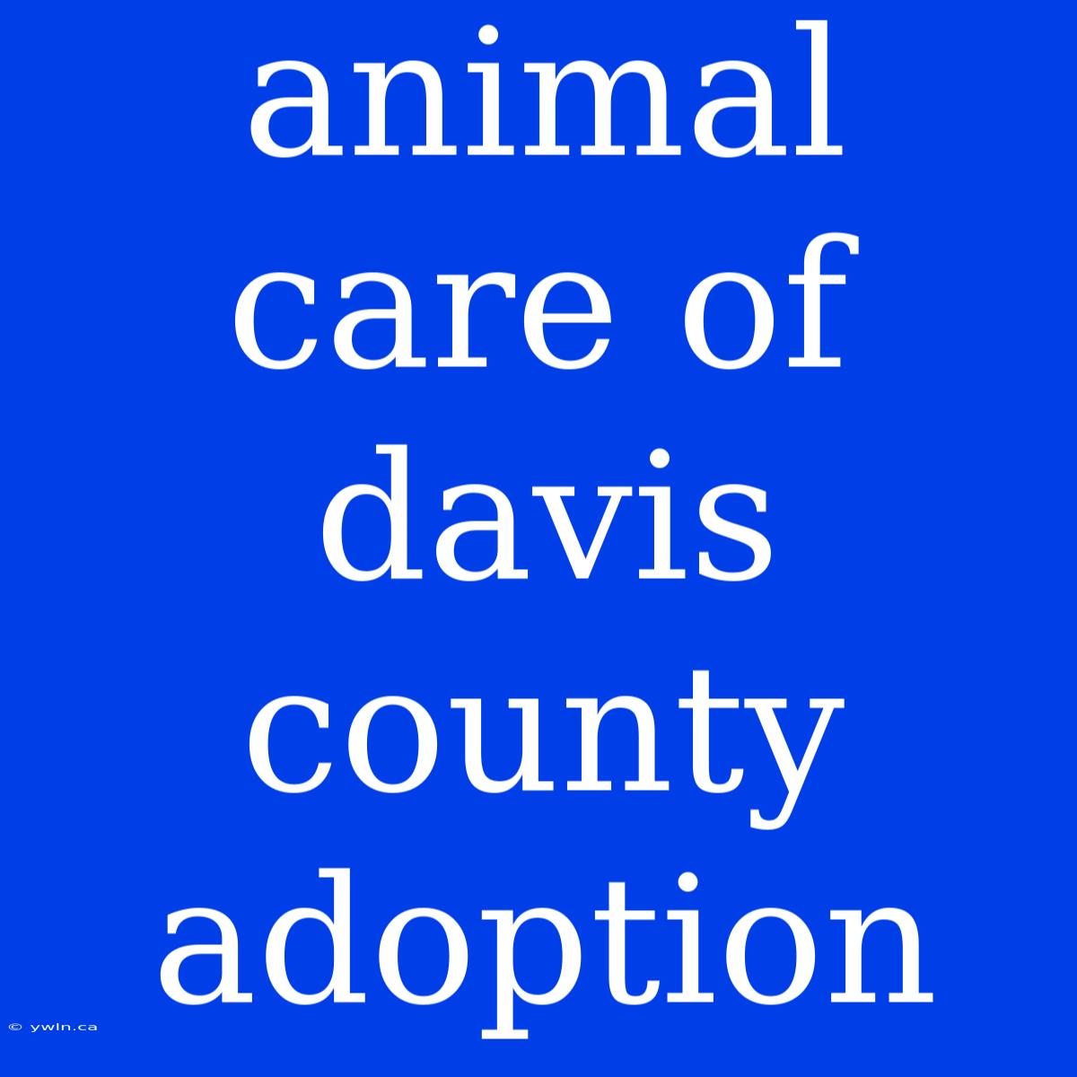 Animal Care Of Davis County Adoption