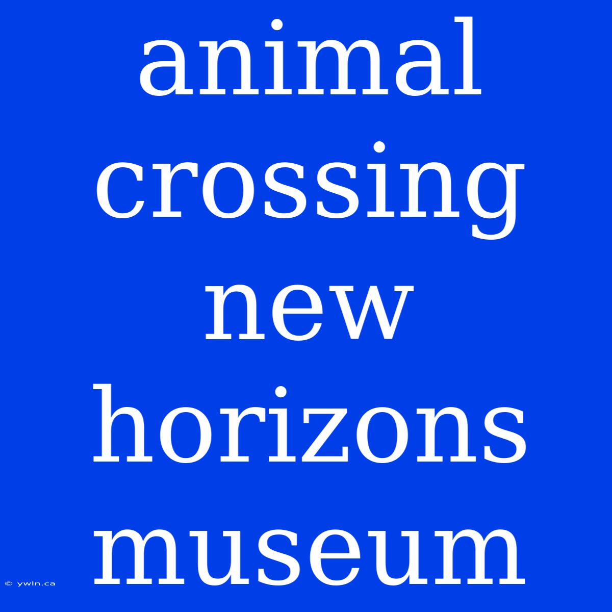 Animal Crossing New Horizons Museum