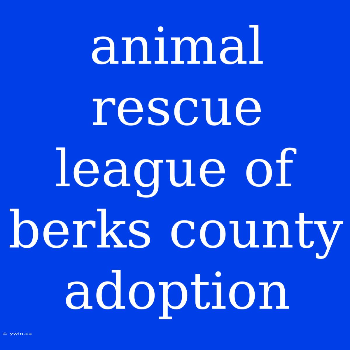 Animal Rescue League Of Berks County Adoption