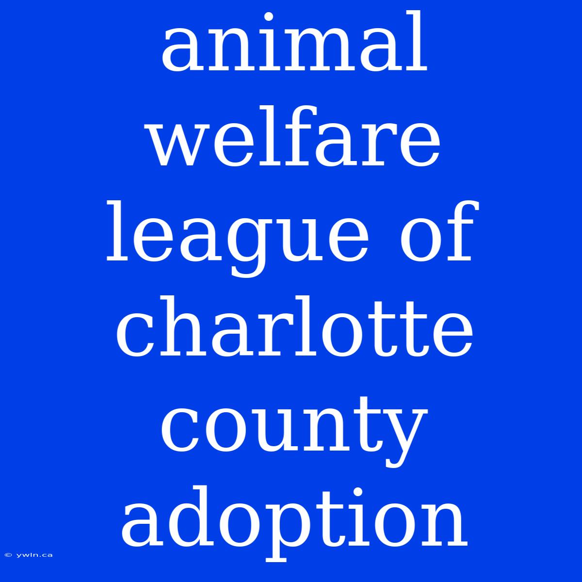 Animal Welfare League Of Charlotte County Adoption