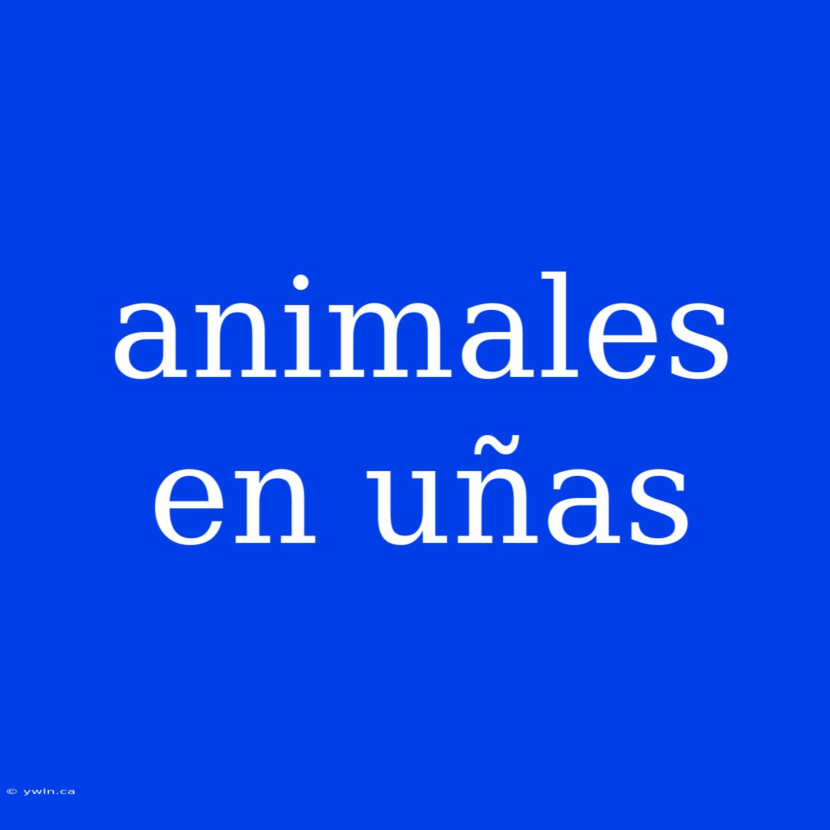 Animales En Uñas