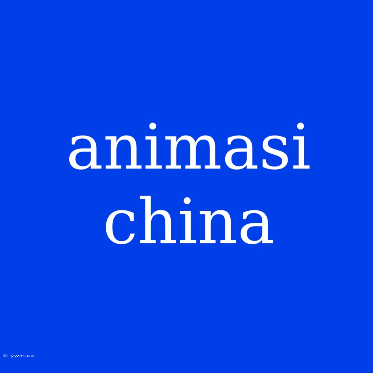 Animasi China