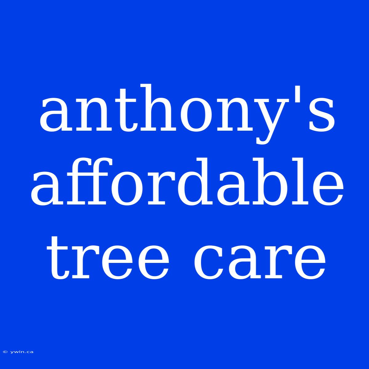 Anthony's Affordable Tree Care