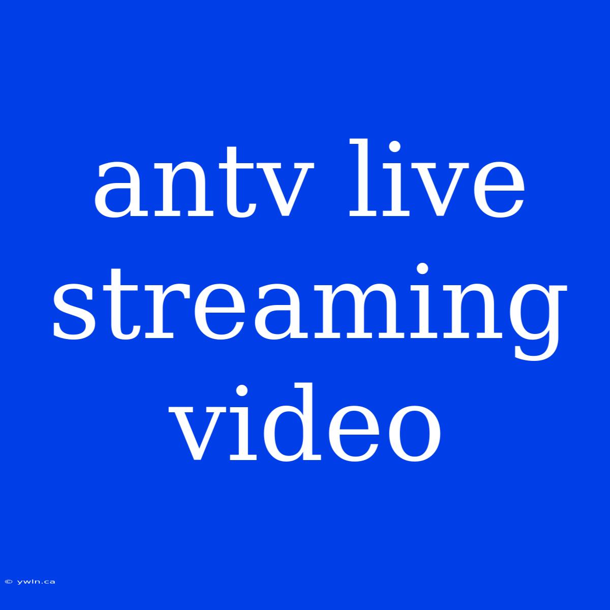 Antv Live Streaming Video