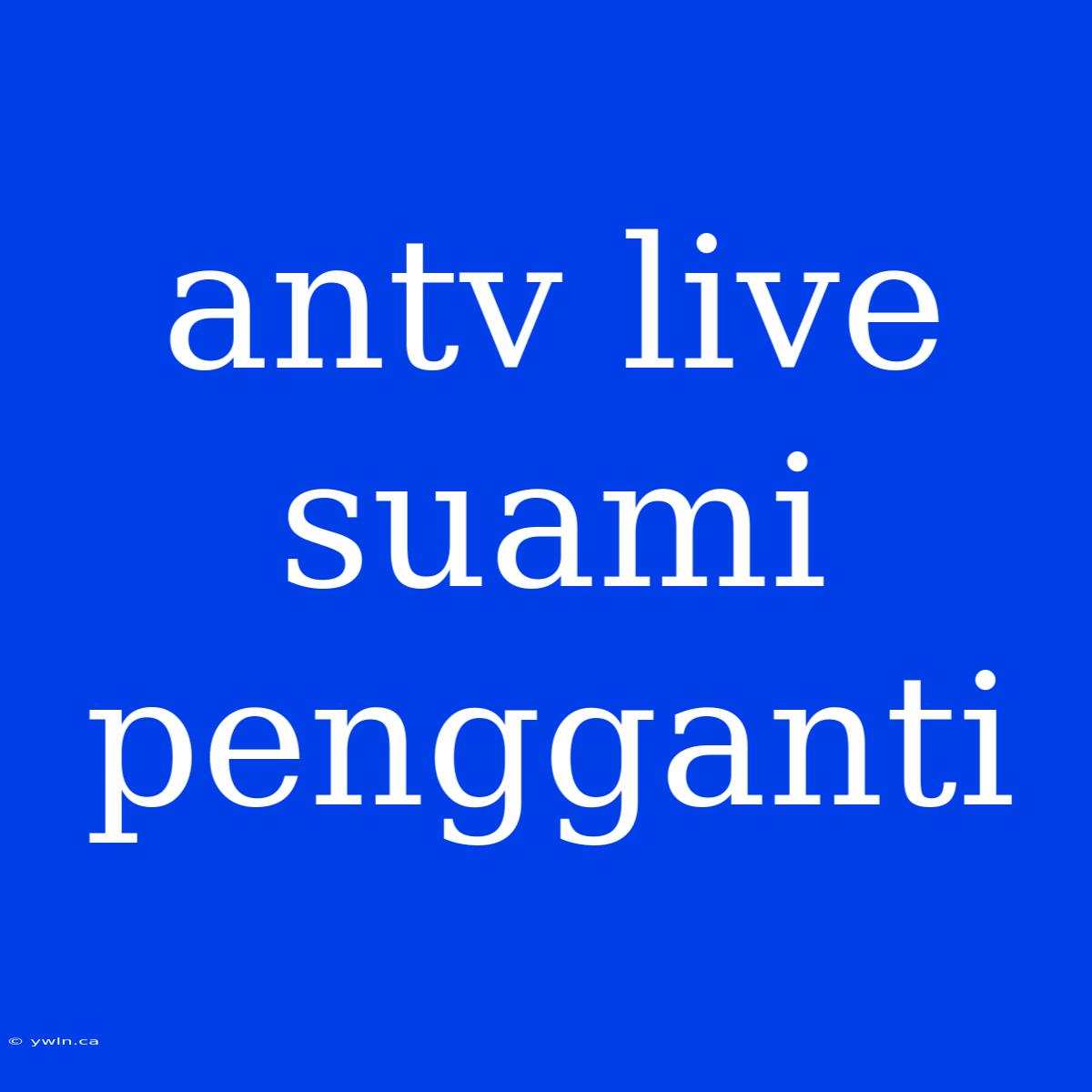 Antv Live Suami Pengganti