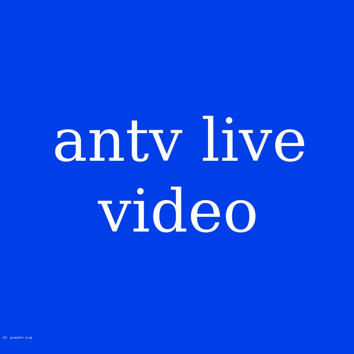 Antv Live Video