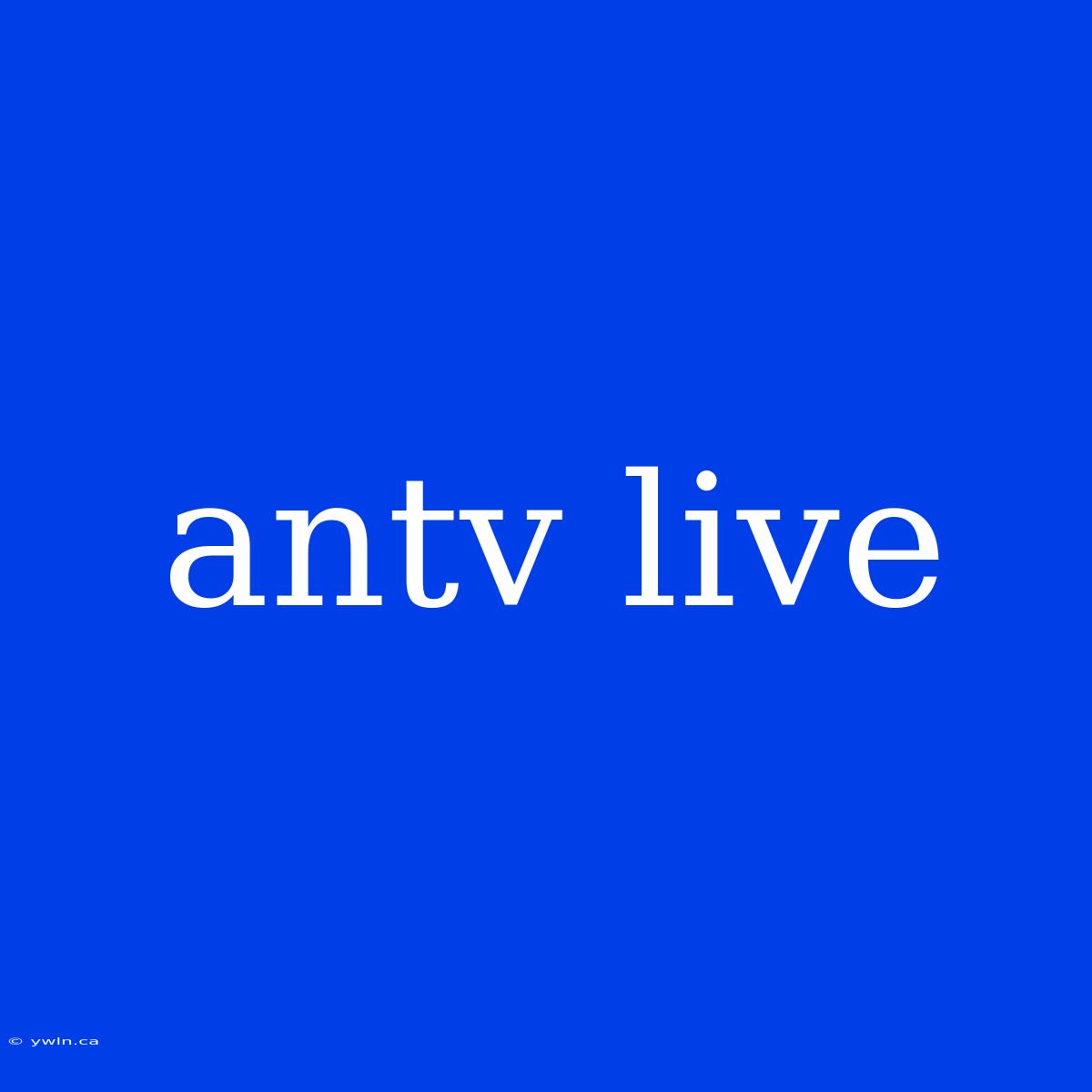 Antv Live