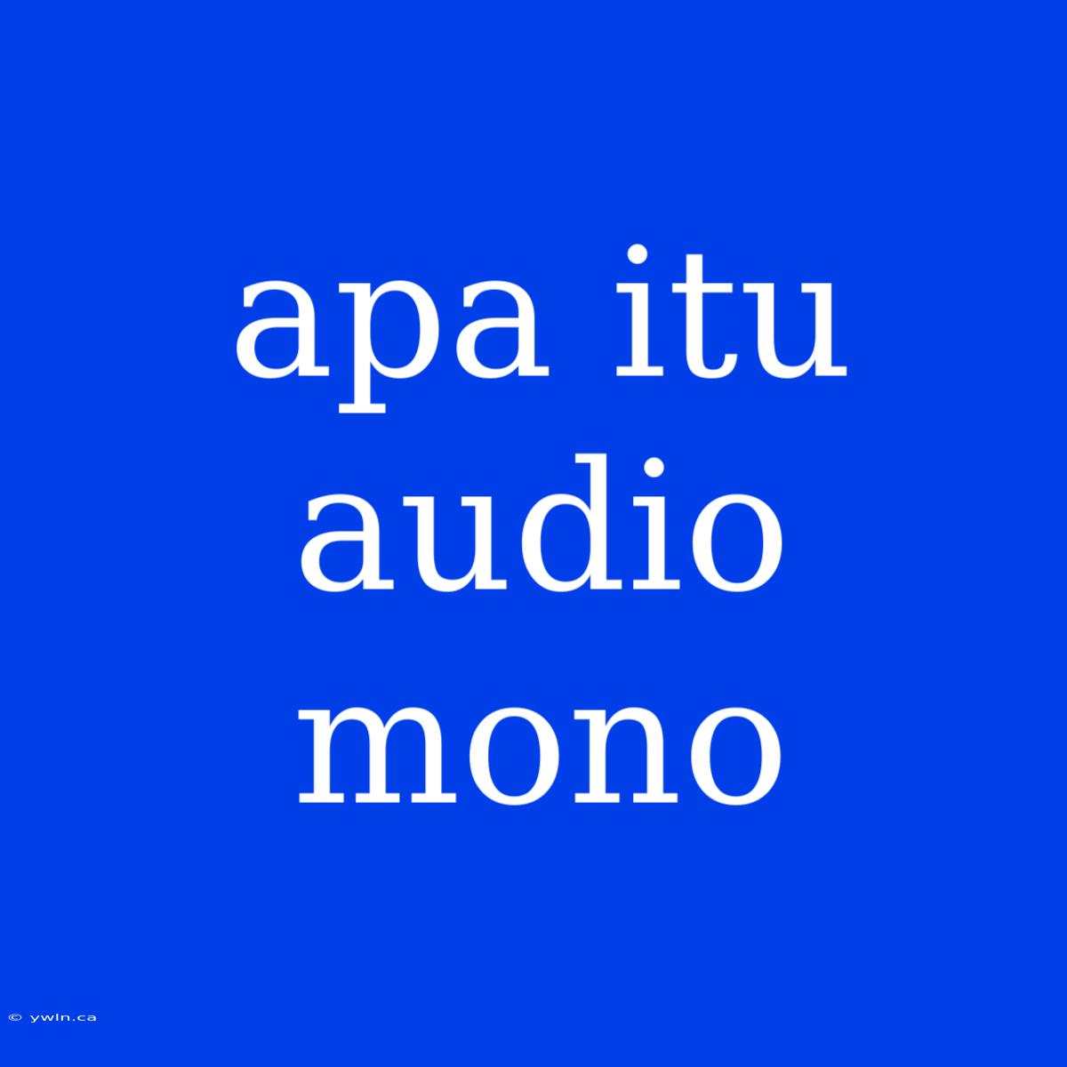 Apa Itu Audio Mono