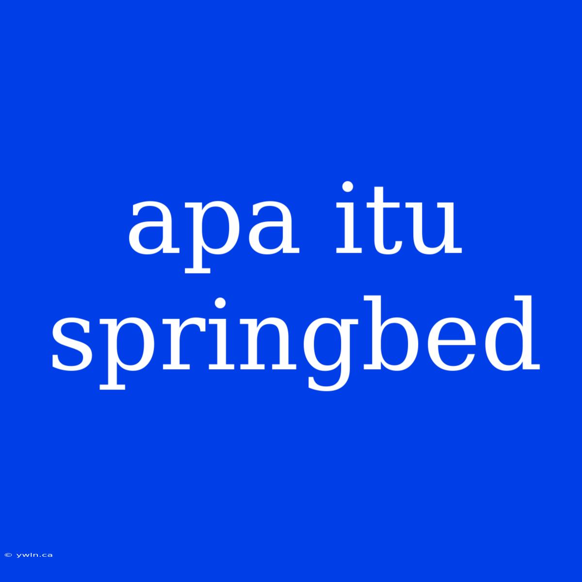 Apa Itu Springbed