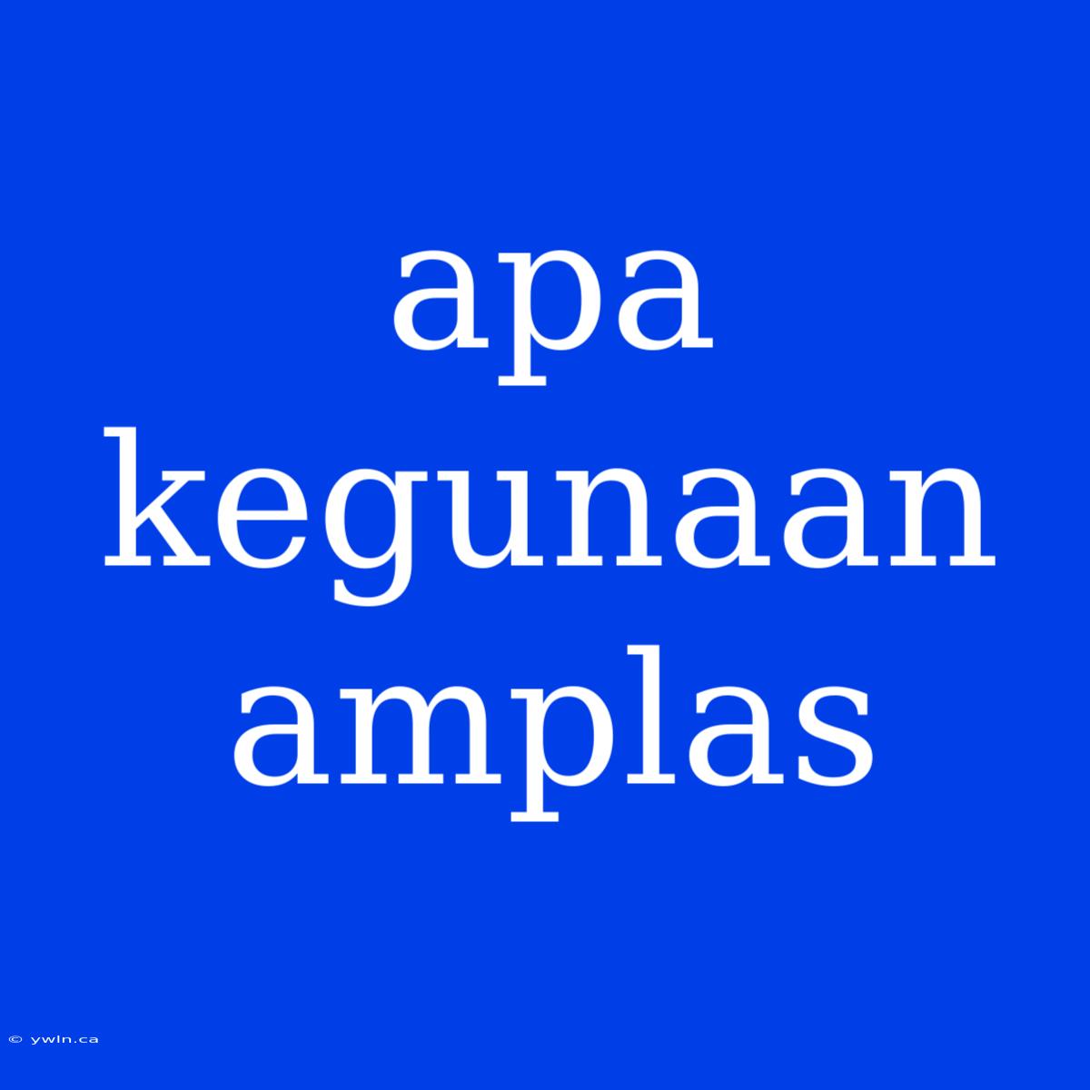 Apa Kegunaan Amplas