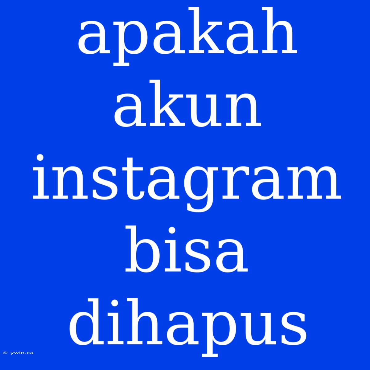 Apakah Akun Instagram Bisa Dihapus