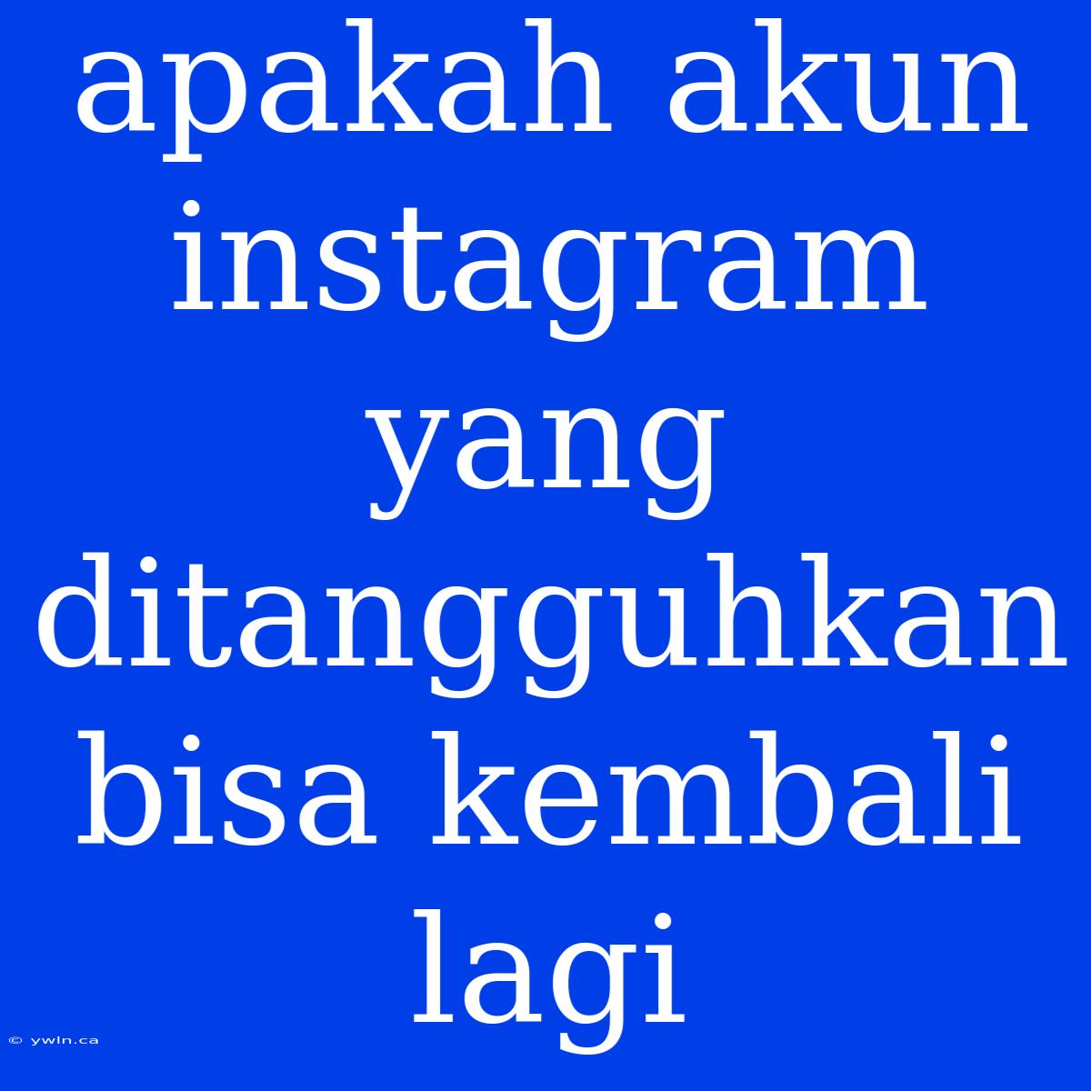 Apakah Akun Instagram Yang Ditangguhkan Bisa Kembali Lagi