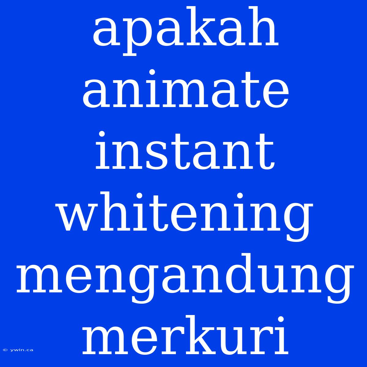 Apakah Animate Instant Whitening Mengandung Merkuri