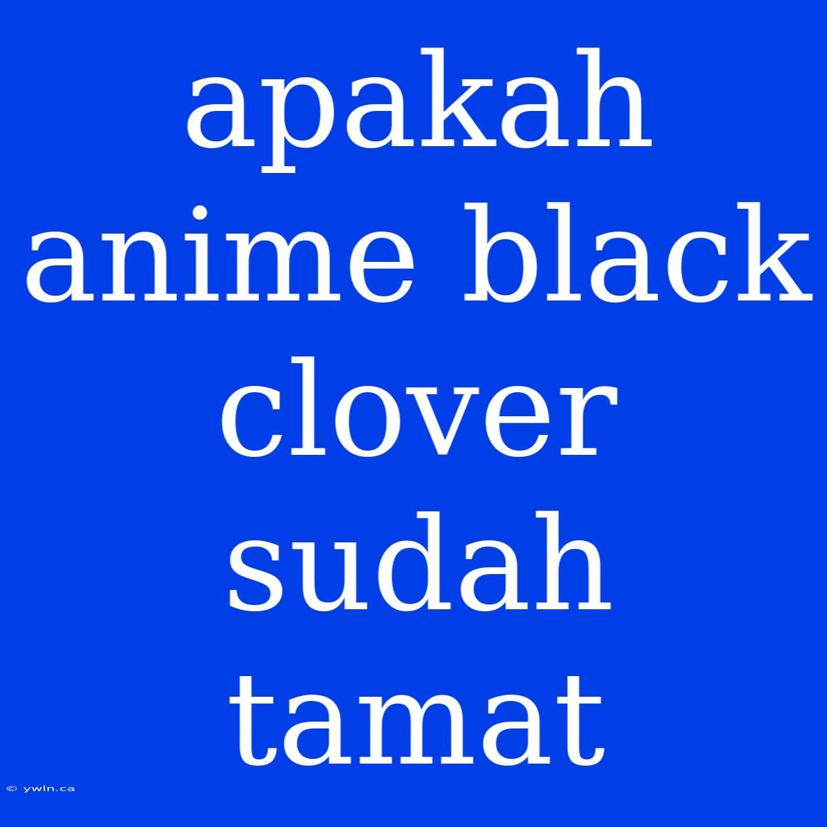 Apakah Anime Black Clover Sudah Tamat