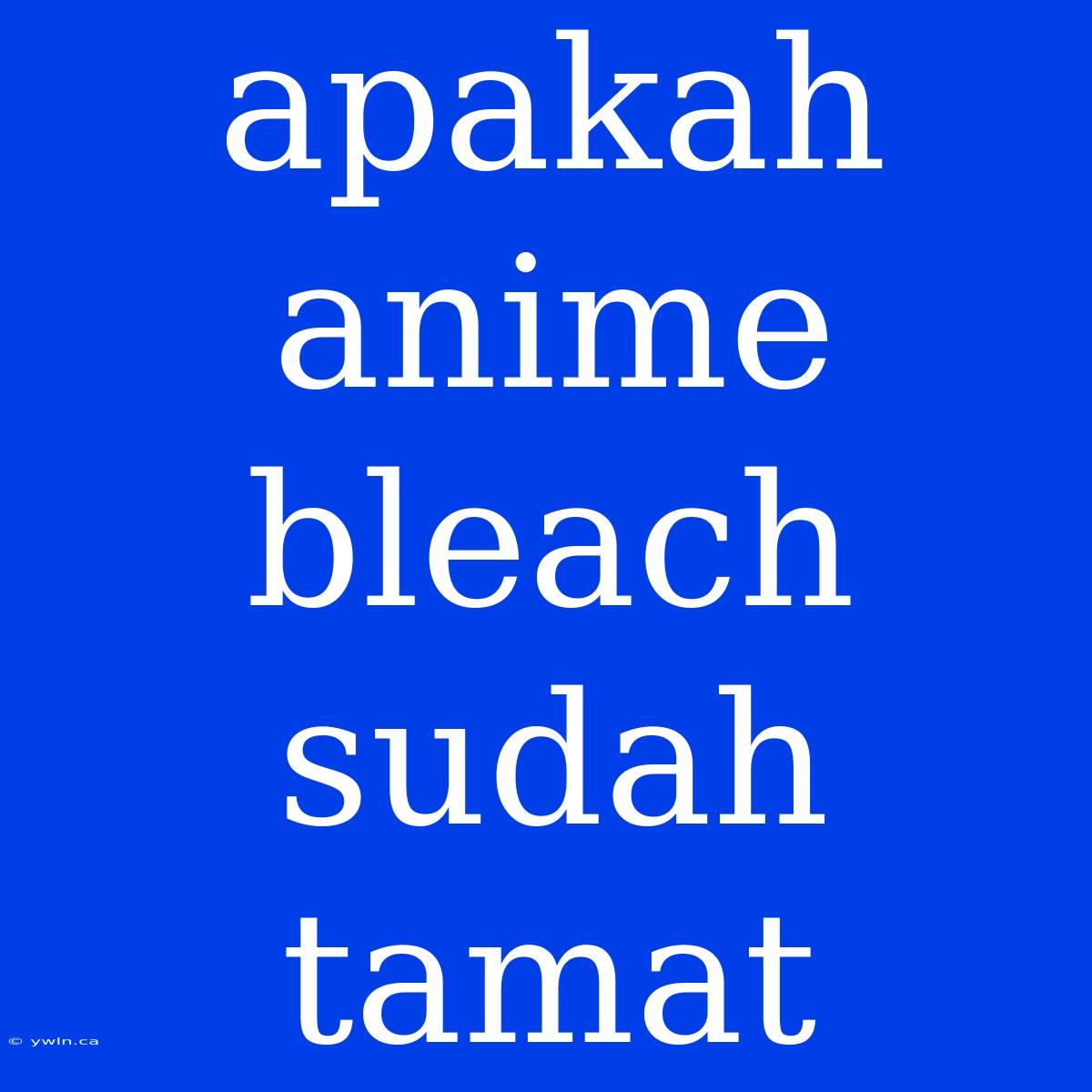 Apakah Anime Bleach Sudah Tamat