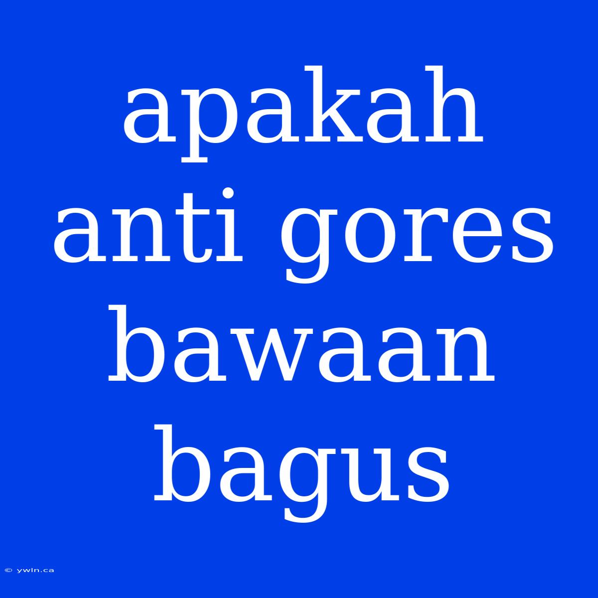 Apakah Anti Gores Bawaan Bagus