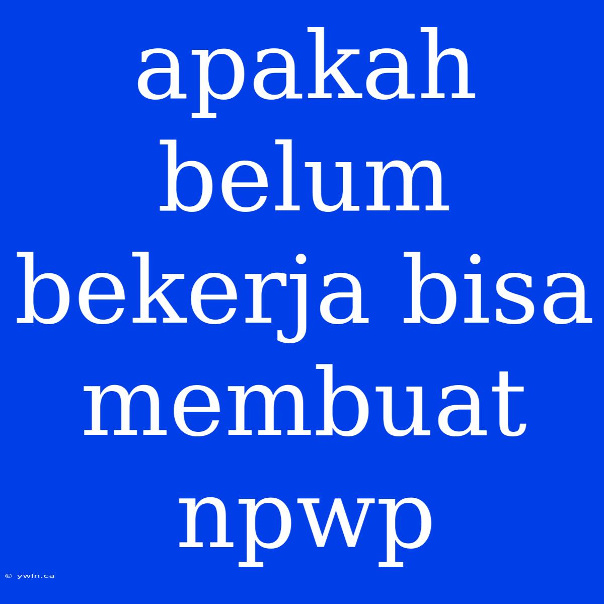 Apakah Belum Bekerja Bisa Membuat Npwp