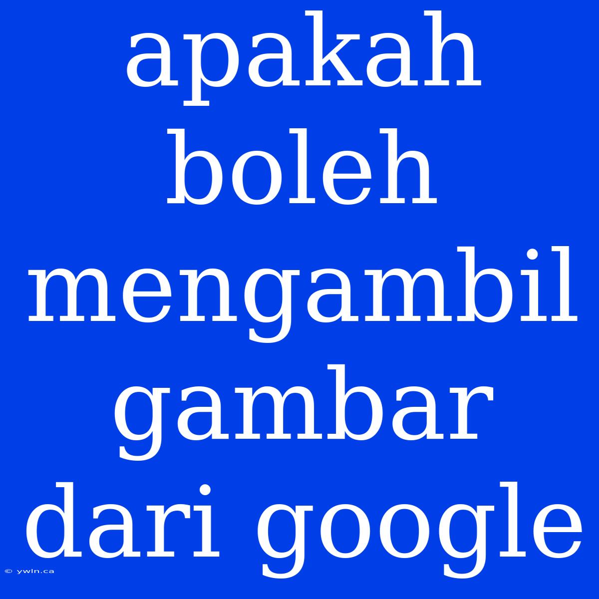 Apakah Boleh Mengambil Gambar Dari Google