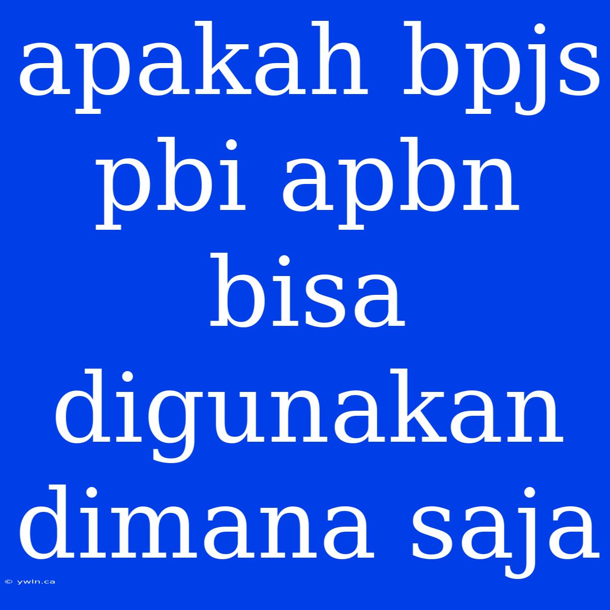 Apakah Bpjs Pbi Apbn Bisa Digunakan Dimana Saja