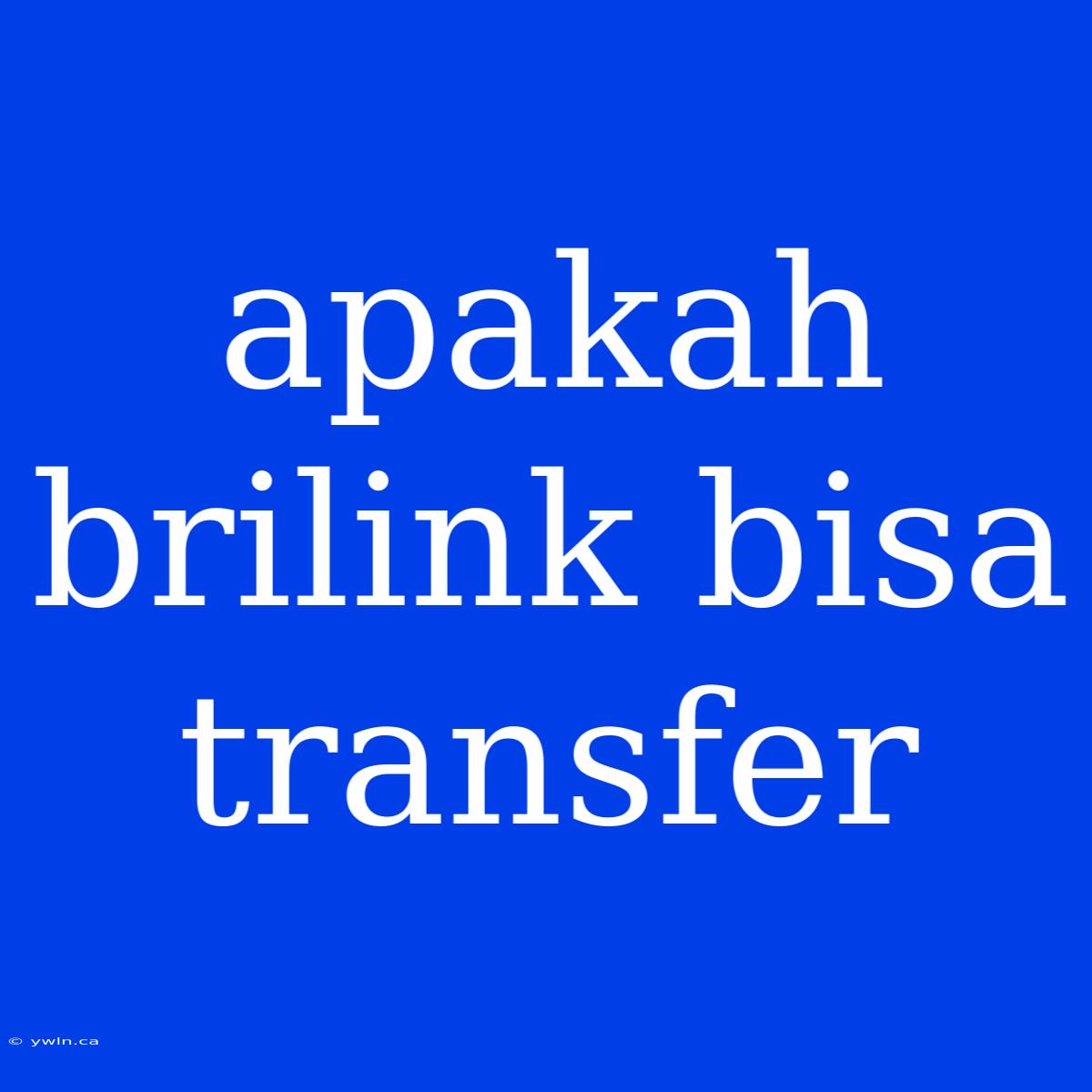 Apakah Brilink Bisa Transfer