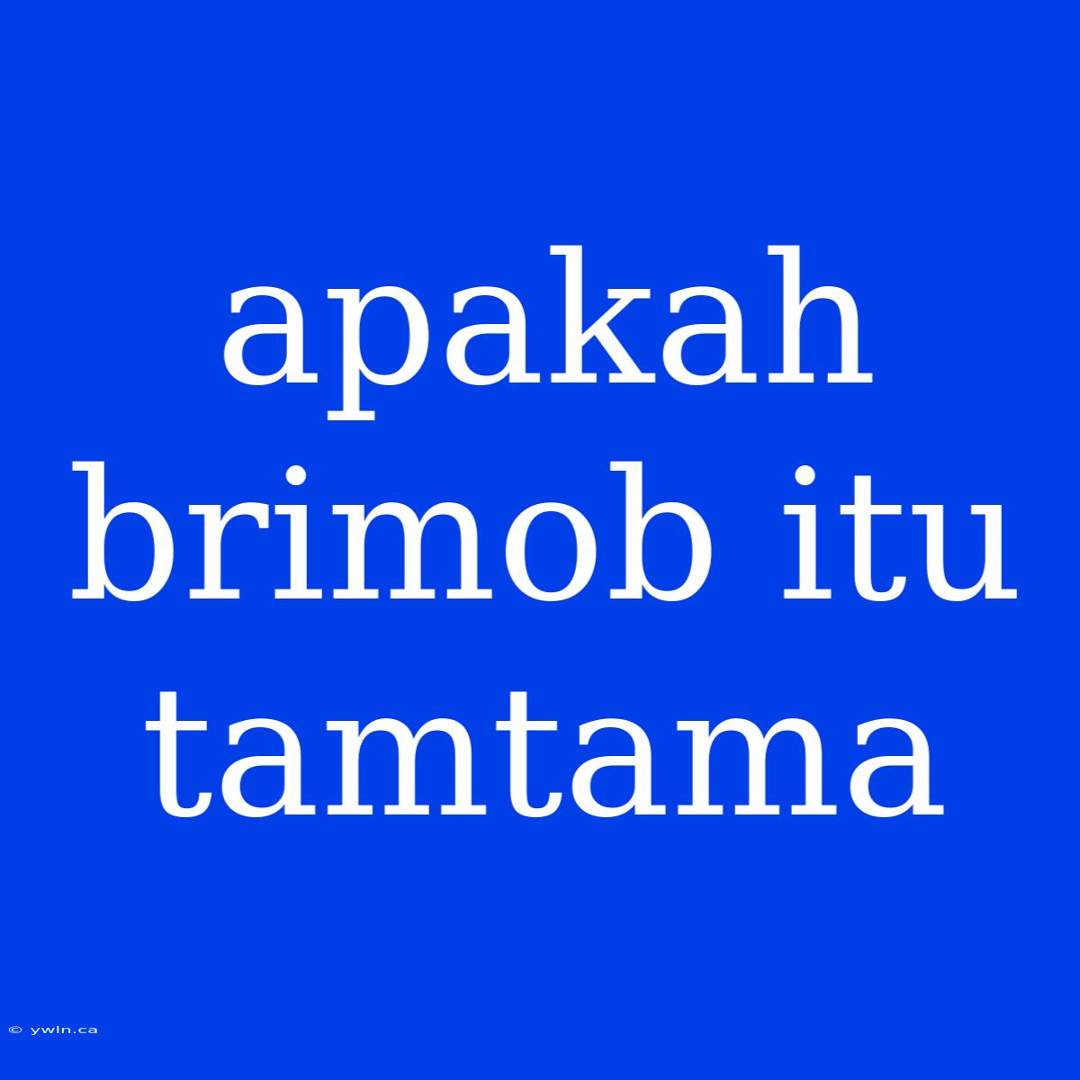 Apakah Brimob Itu Tamtama