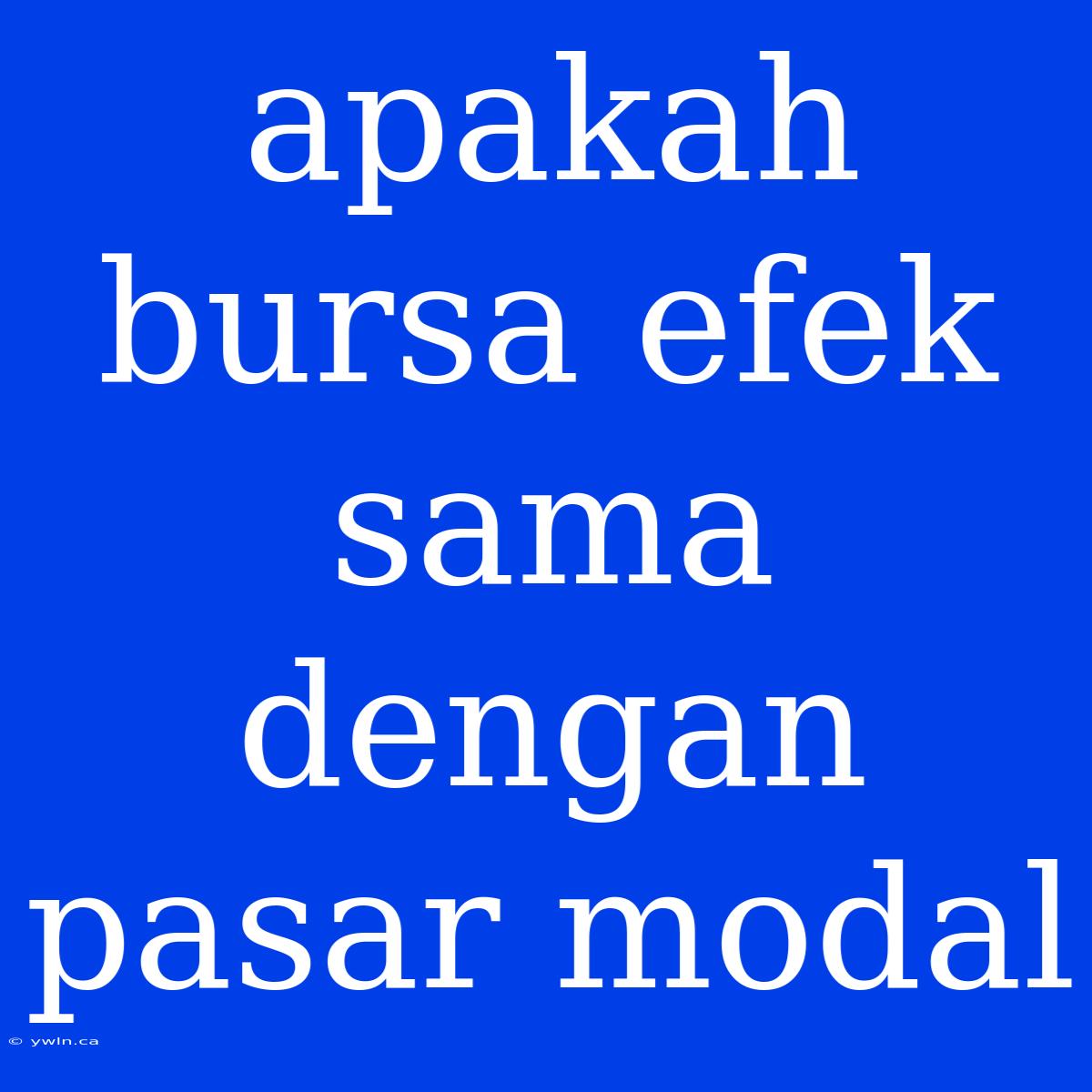 Apakah Bursa Efek Sama Dengan Pasar Modal