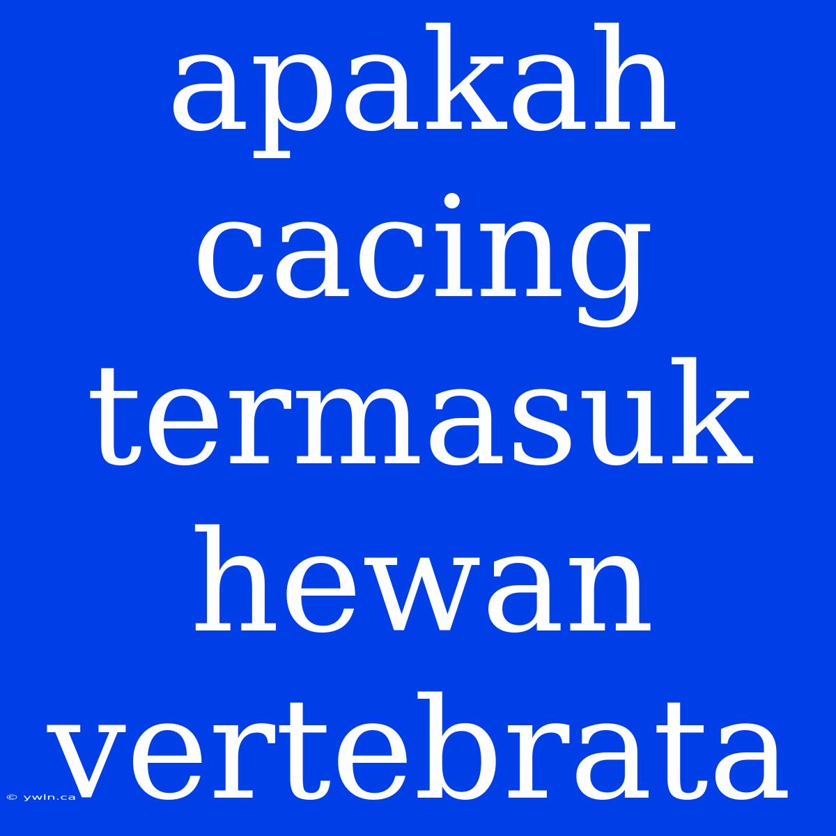 Apakah Cacing Termasuk Hewan Vertebrata