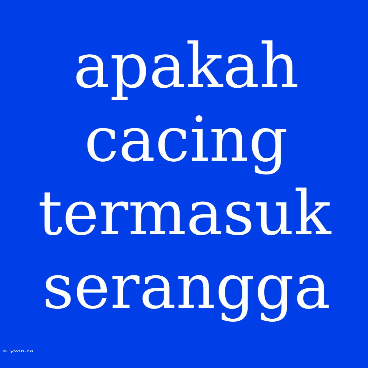 Apakah Cacing Termasuk Serangga