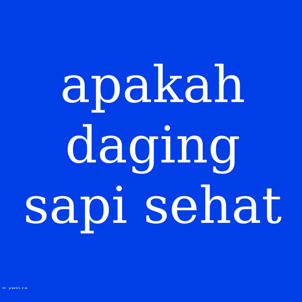 Apakah Daging Sapi Sehat