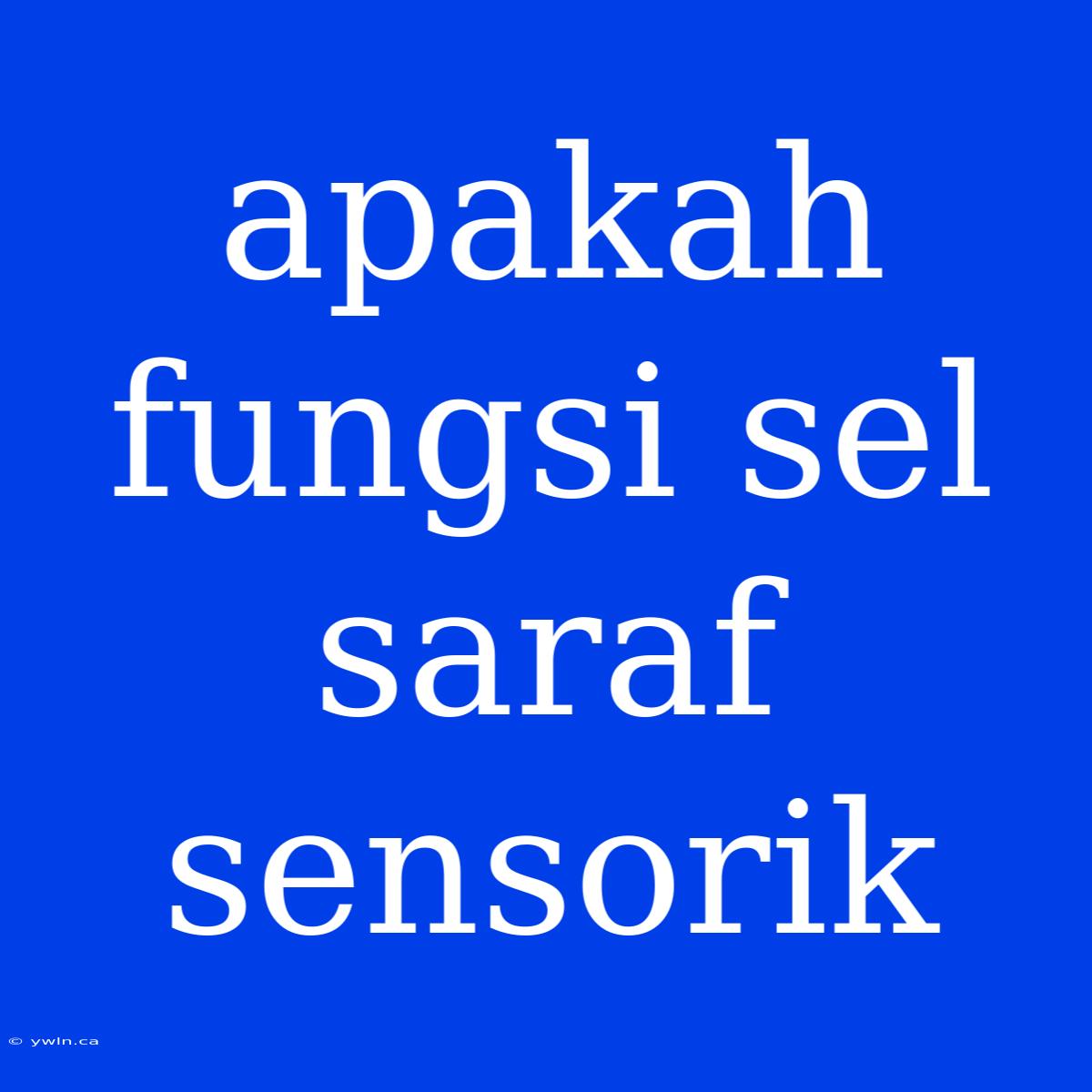 Apakah Fungsi Sel Saraf Sensorik