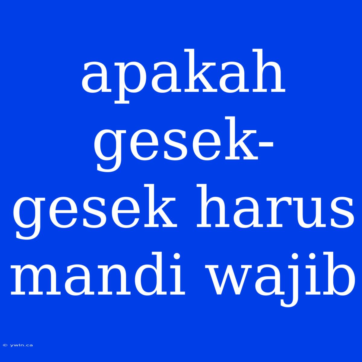 Apakah Gesek-gesek Harus Mandi Wajib